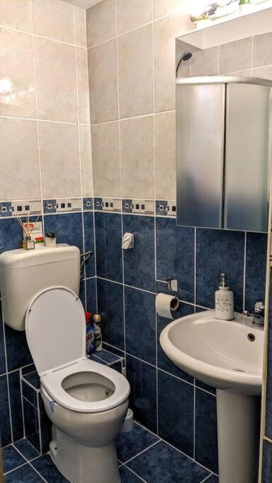Cosy One Bedroom Flat With Free Parking & Wifi Apartment Cluj-Napoca